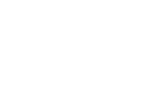 logo LAU PINO